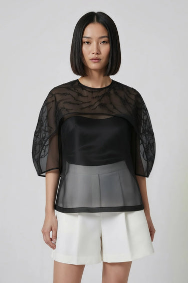 Women Black sheer organza top with embroidery, luxury designer fashion India