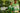 Testing Alt