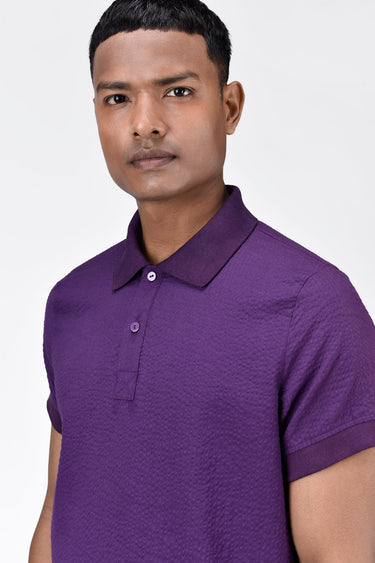 Buy Regular Fit Polo Neck T-Shirt with DTM Collar Amethyst
