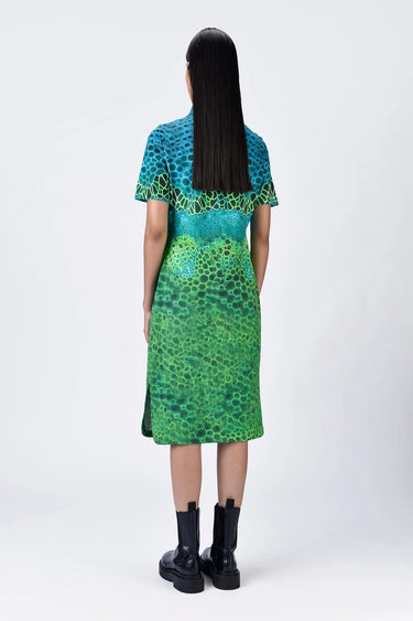 Women's Multi-Color Polo Dress - Genes Lecoanet Hemant