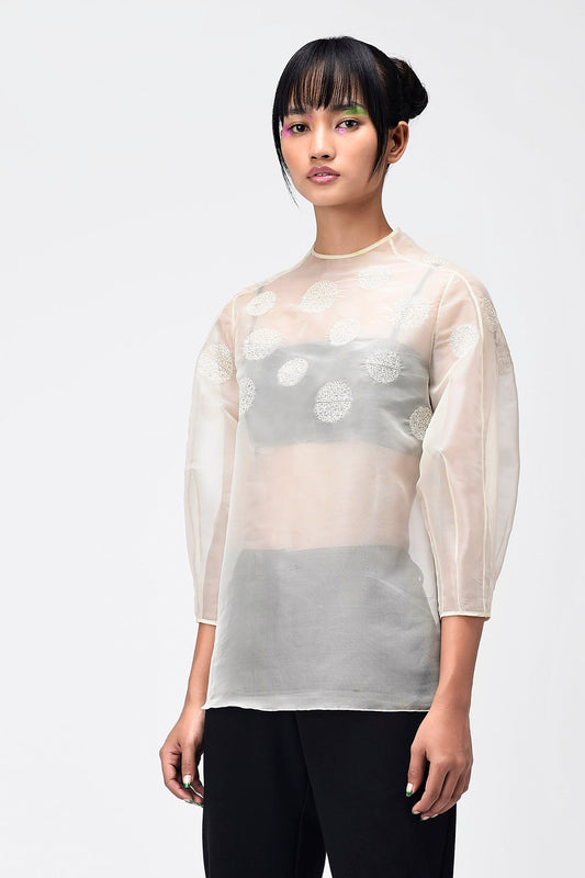 Embroidered Organza Top